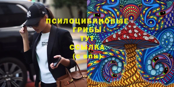 молекула духа Алексин