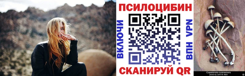 Галлюциногенные грибы мицелий закладки Кочубеевское