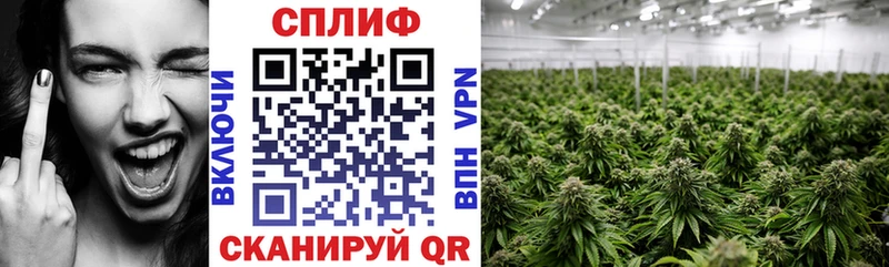 Конопля LSD WEED  Кочубеевское 